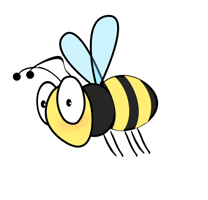 Header image for all pages